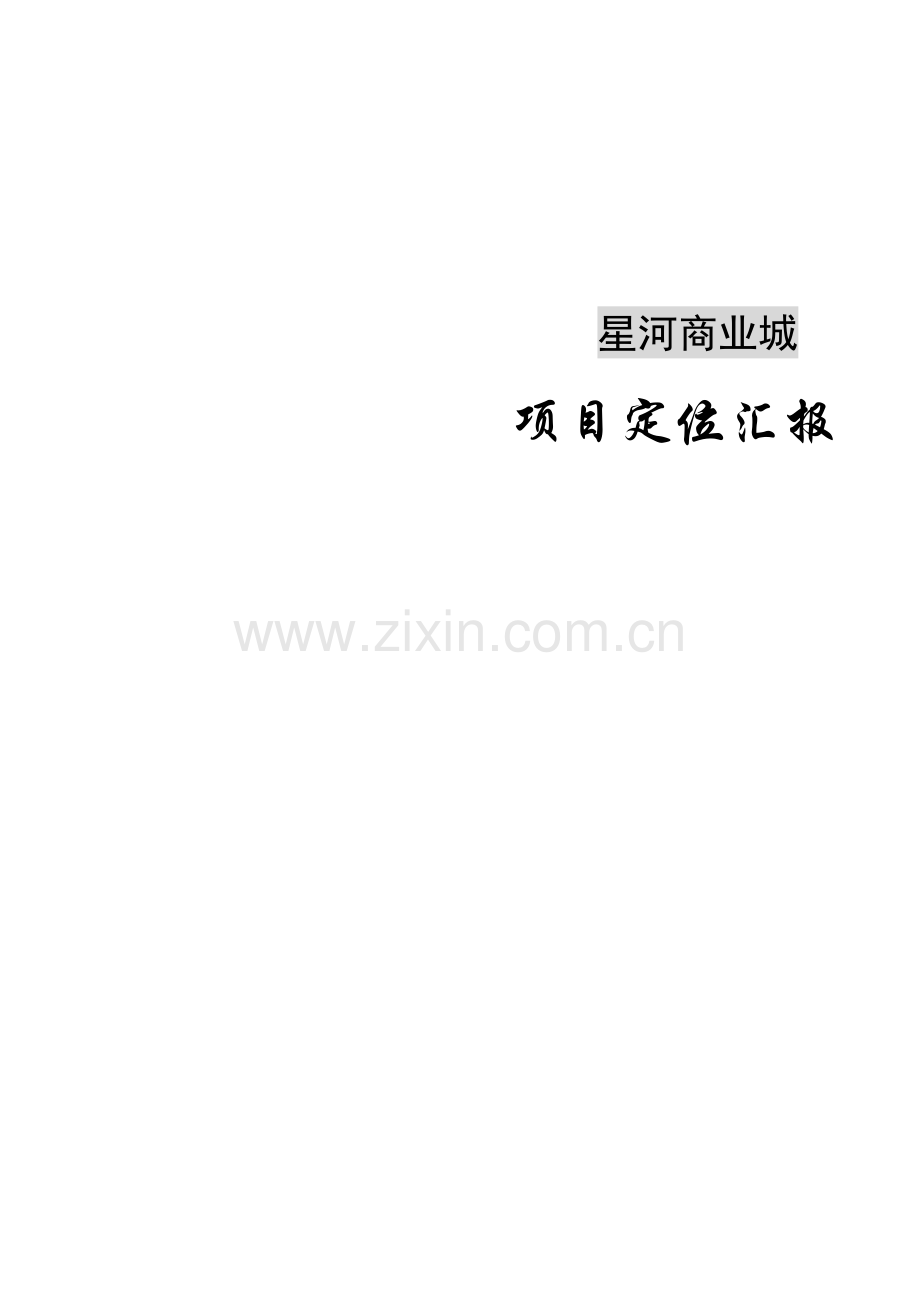 商业城项目定位报告.doc_第1页