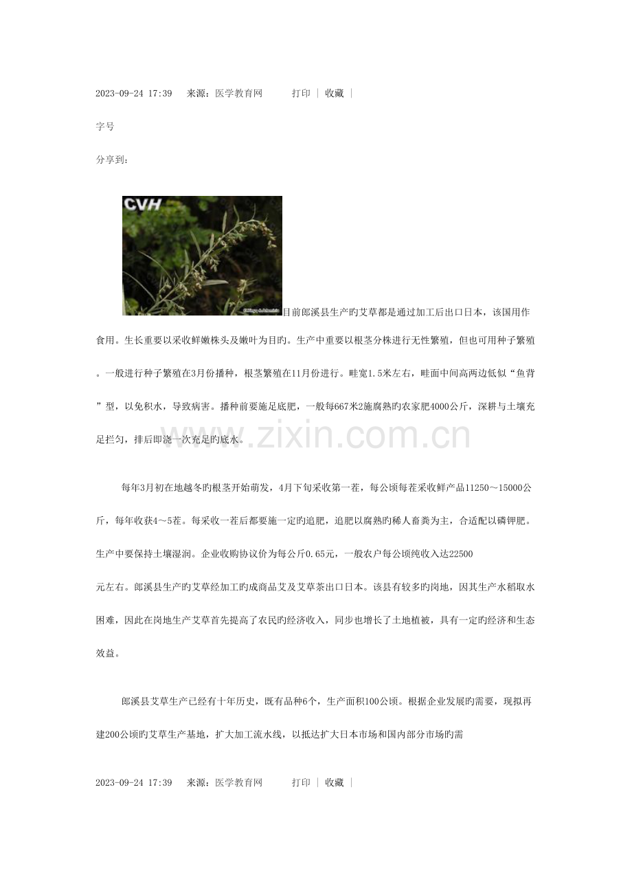 艾草种植技术.docx_第1页