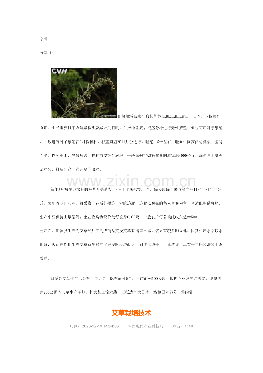 艾草种植技术.docx_第2页