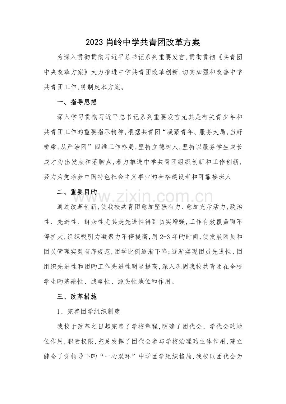 中学共青团改革实施方案细则.docx_第1页