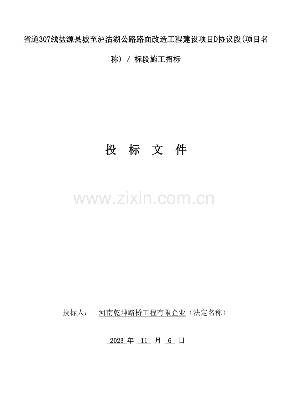 省道线盐源县城至泸沽湖公路路面改造工程建设项目D.doc_第1页