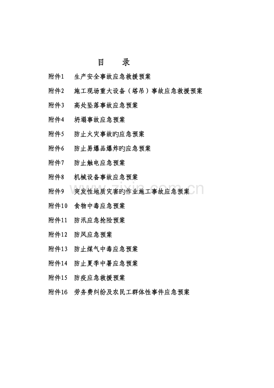 专项应急救援预案.doc_第2页