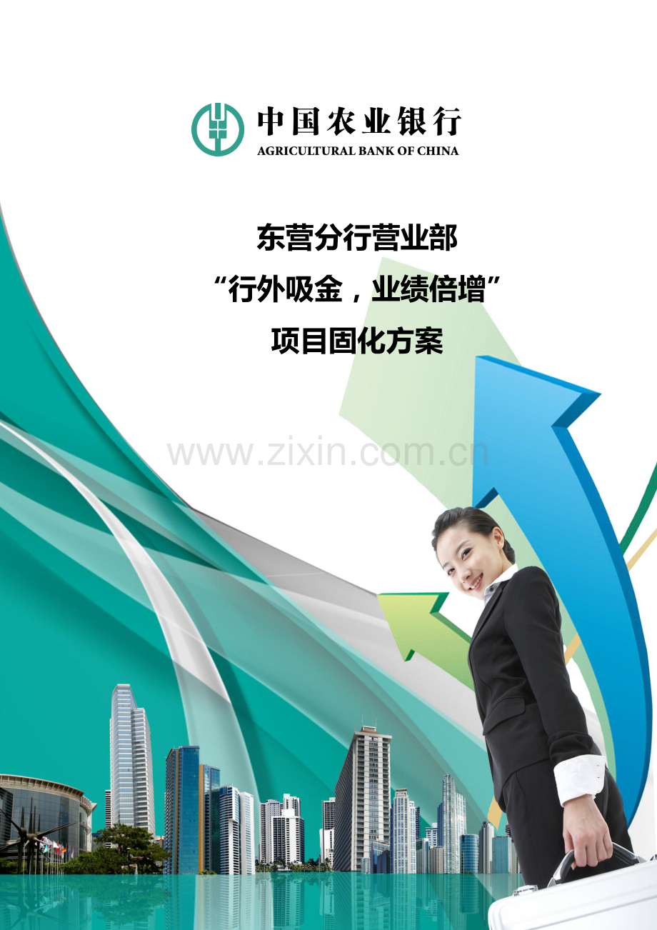 东营分行营业部行外吸金项目固化方案.docx_第1页