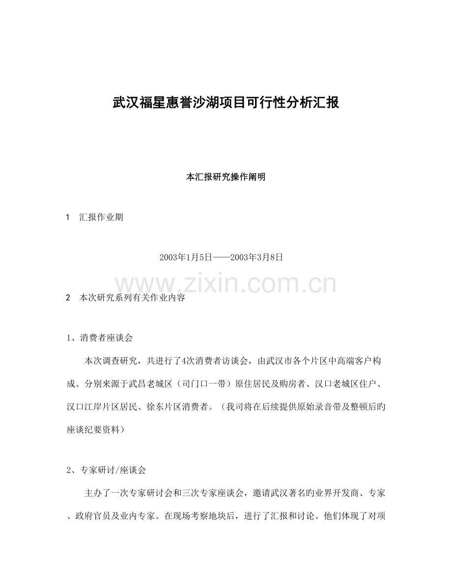 武汉项目可行性分析报告.doc_第1页