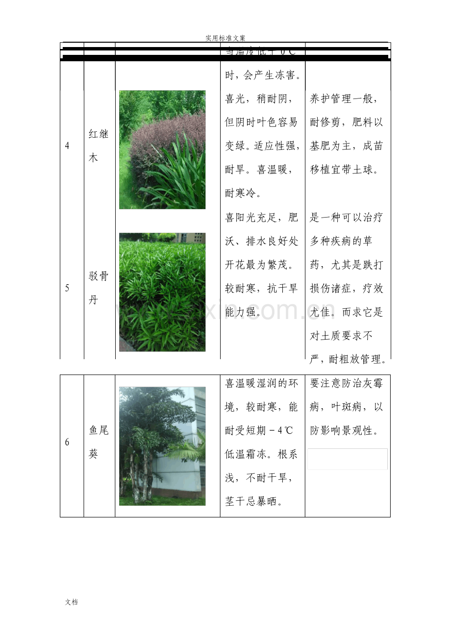 学校绿化养护服务方案设计.pdf_第3页