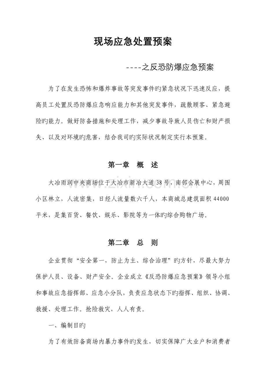 反恐防爆应急预案.doc_第1页