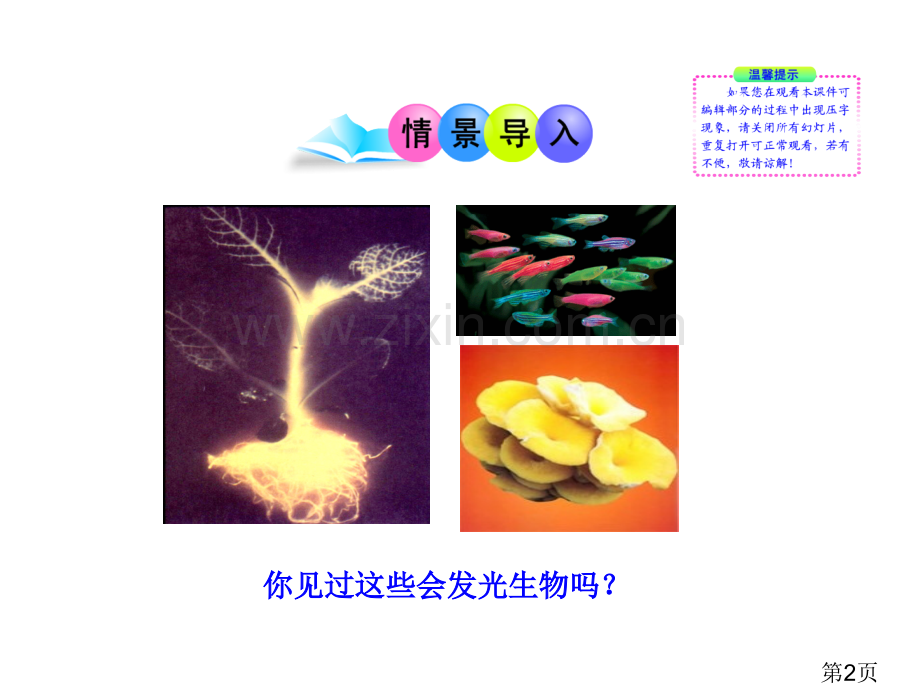 第25章现代生物技术北师大版名师优质课获奖市赛课一等奖课件.ppt_第2页