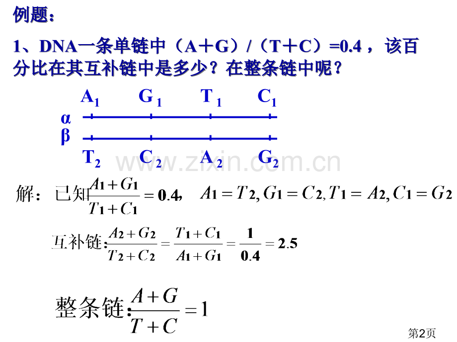 DNA分子相关计算省名师优质课赛课获奖课件市赛课一等奖课件.ppt_第2页