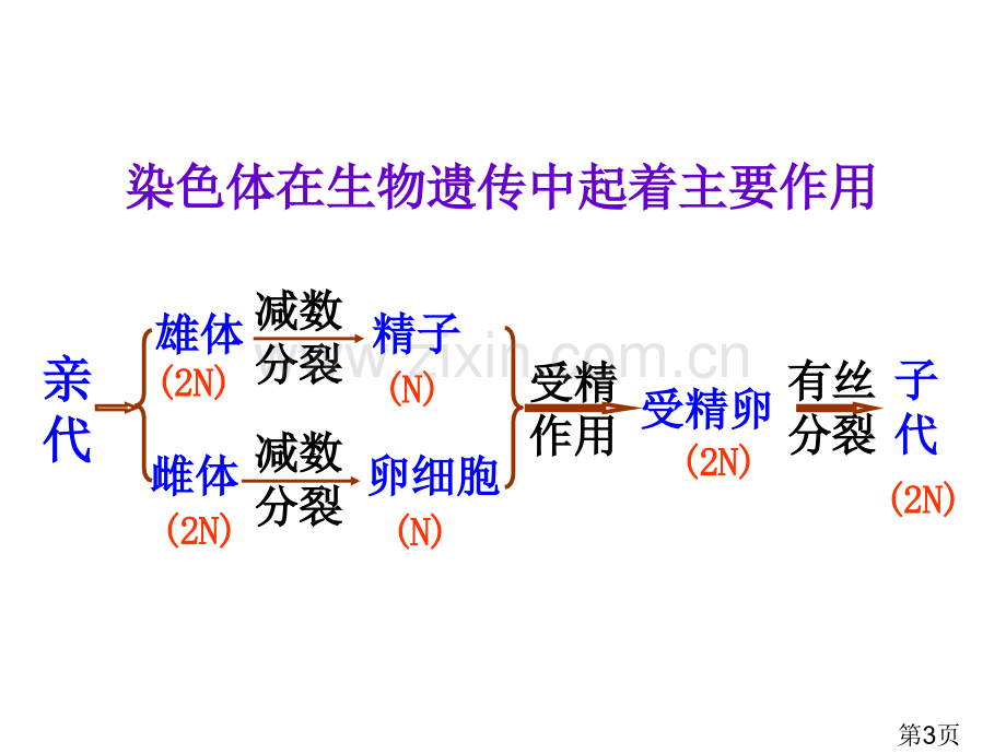 DNA是主要的遗传物质高三省名师优质课赛课获奖课件市赛课一等奖课件.ppt_第3页