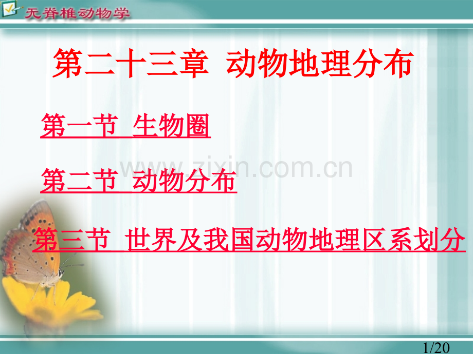 第二十三章：动物地理分布省名师优质课赛课获奖课件市赛课百校联赛优质课一等奖课件.ppt_第1页