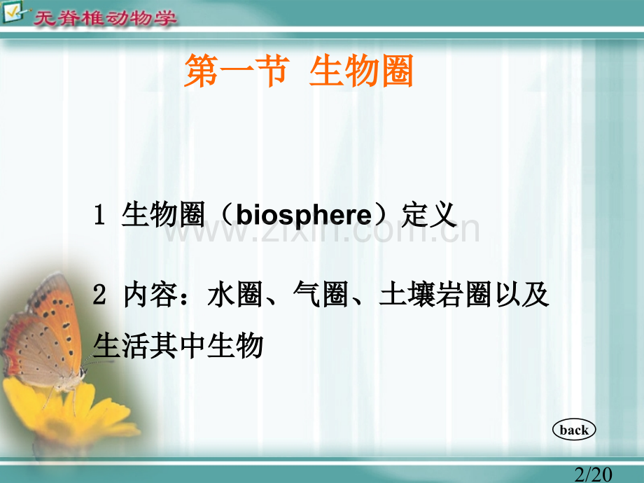 第二十三章：动物地理分布省名师优质课赛课获奖课件市赛课百校联赛优质课一等奖课件.ppt_第2页