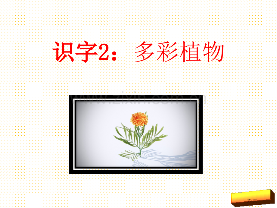 新版语文版二年级上册识字2-多彩的植物市名师优质课比赛一等奖市公开课获奖课件.pptx_第1页