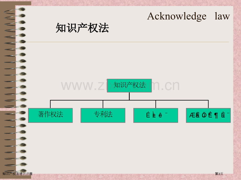 知识产权法培训讲座.pptx_第3页