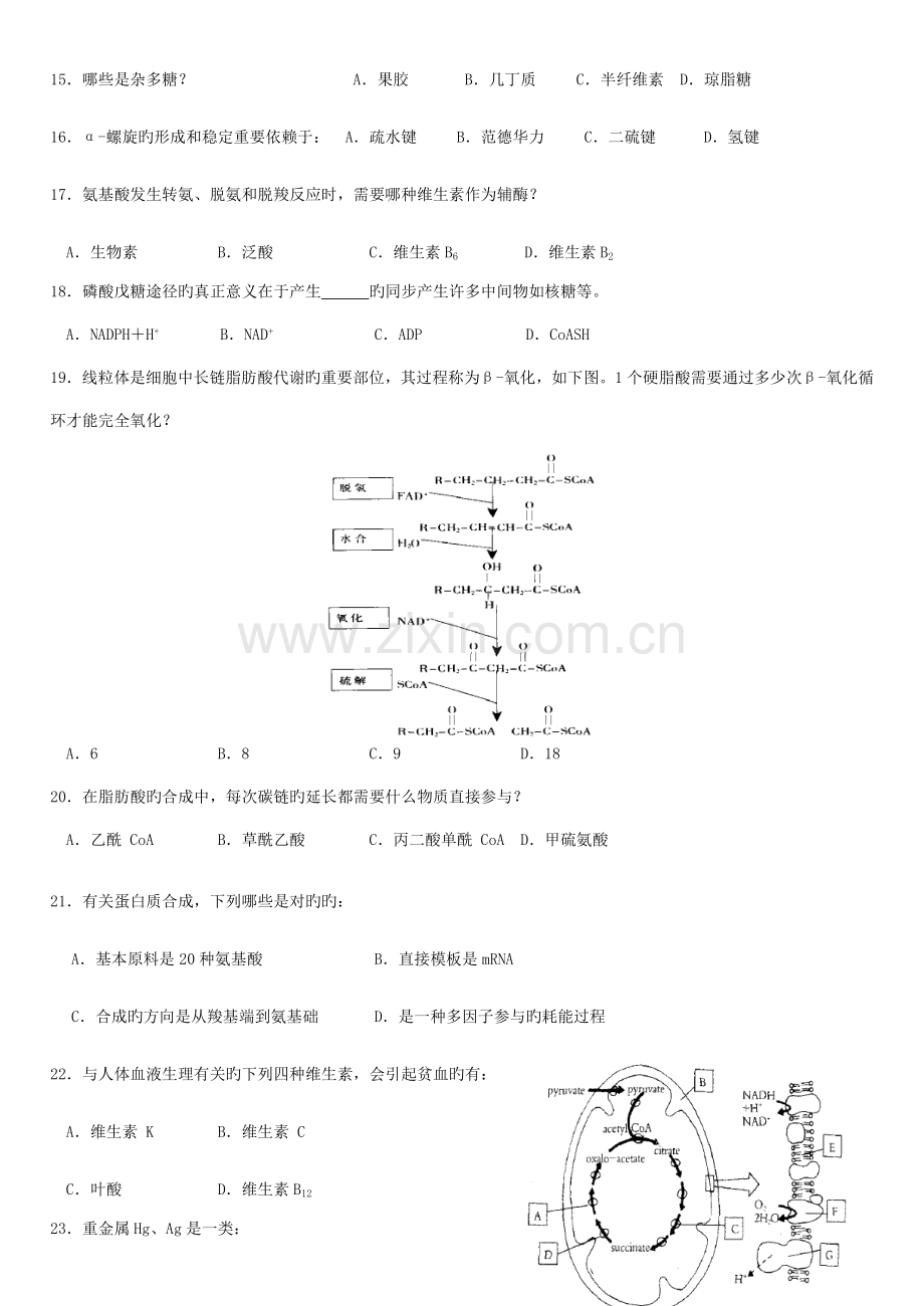 2023年全国中学生生物竞赛模拟考试江西三校联考.doc_第3页