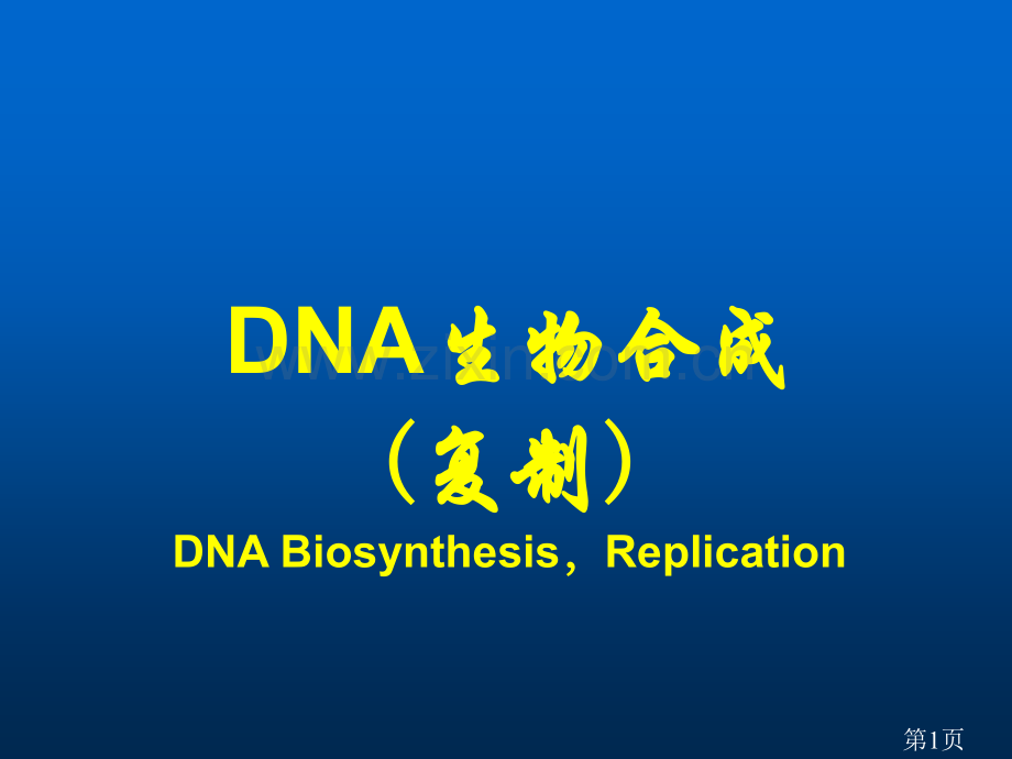 DNA的生物合成复制省名师优质课赛课获奖课件市赛课一等奖课件.ppt_第1页