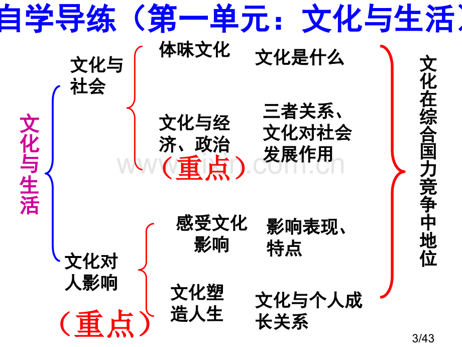 第一课-文化与社会-复习课件(1)省名师优质课赛课获奖课件市赛课百校联赛优质课一等奖课件.ppt_第3页