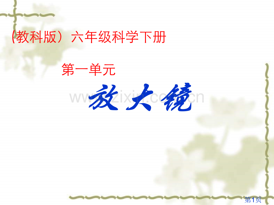 科教版六年级科学下册放大镜省名师优质课获奖课件市赛课一等奖课件.ppt_第1页