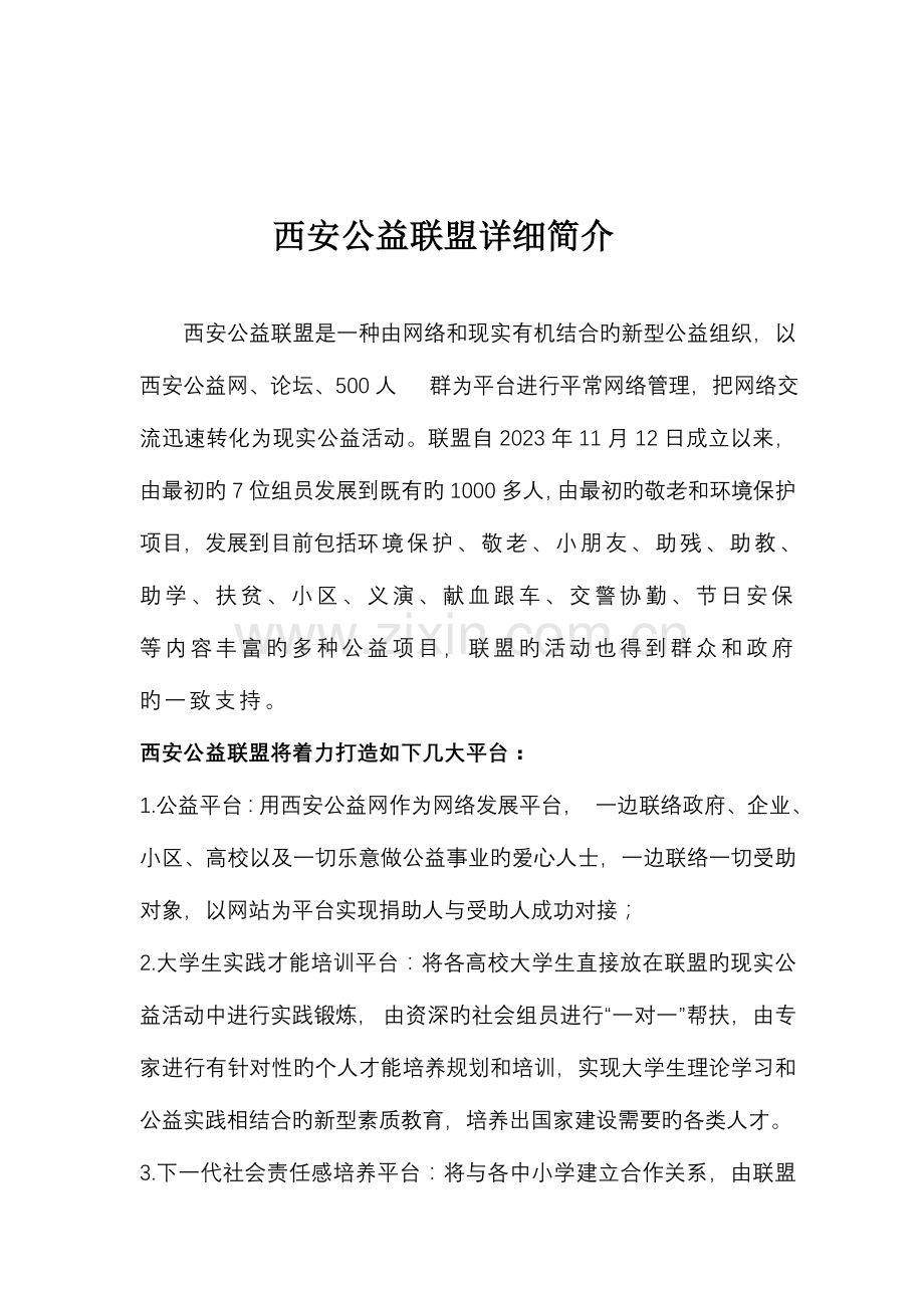 公益组织战略规划书.doc_第1页