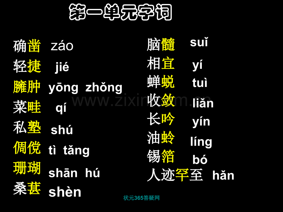 初中语文期中复习综合省名师优质课赛课获奖课件市赛课一等奖课件.ppt_第2页