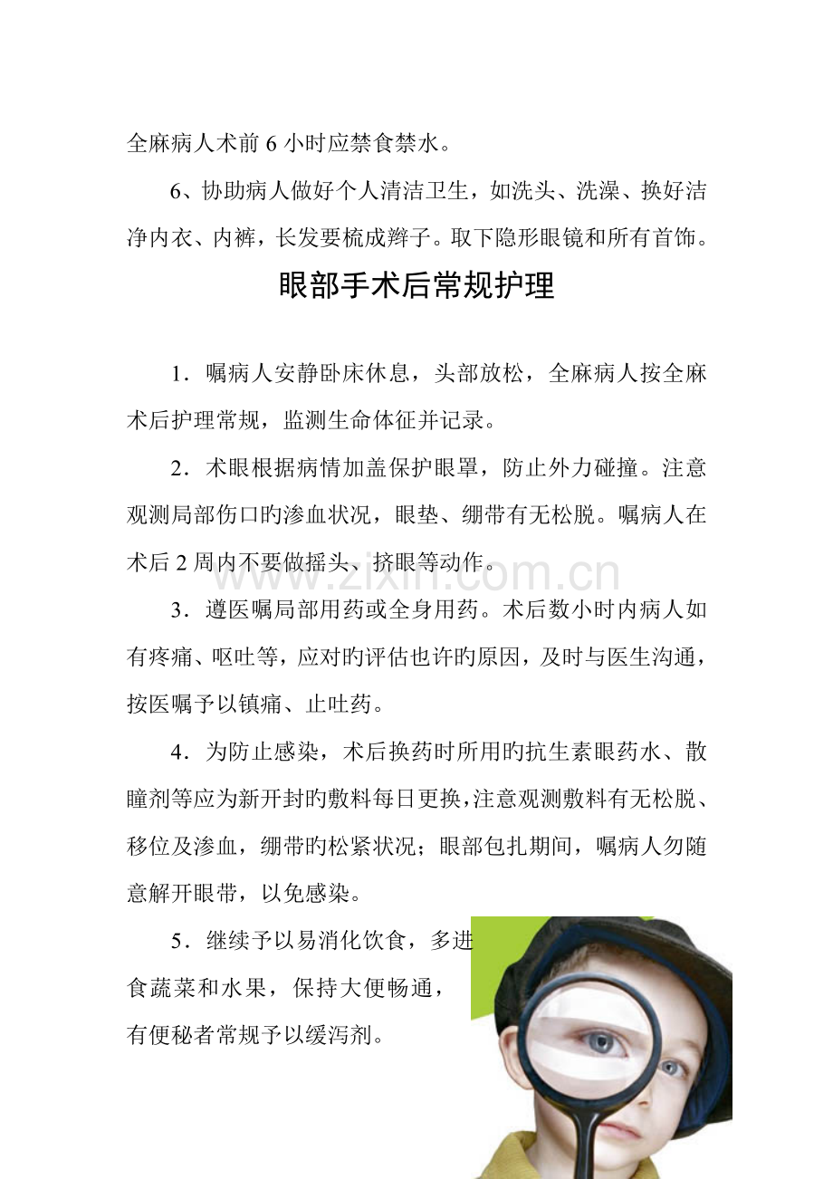 眼科中医护理方案.doc_第2页