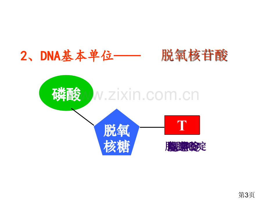 DNA分子的结构省名师优质课赛课获奖课件市赛课一等奖课件.ppt_第3页