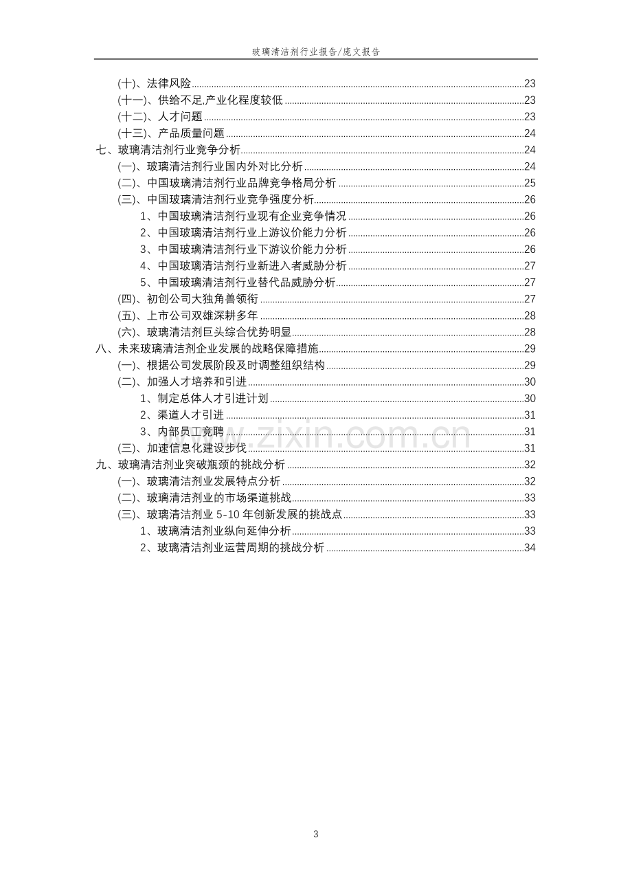 2023年玻璃清洁剂行业市场突围建议及需求分析报告.docx_第3页