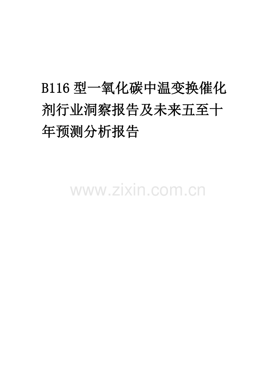 2023年B116型一氧化碳中温变换催化剂行业洞察报告及未来五至十年预测分析报告.docx_第1页