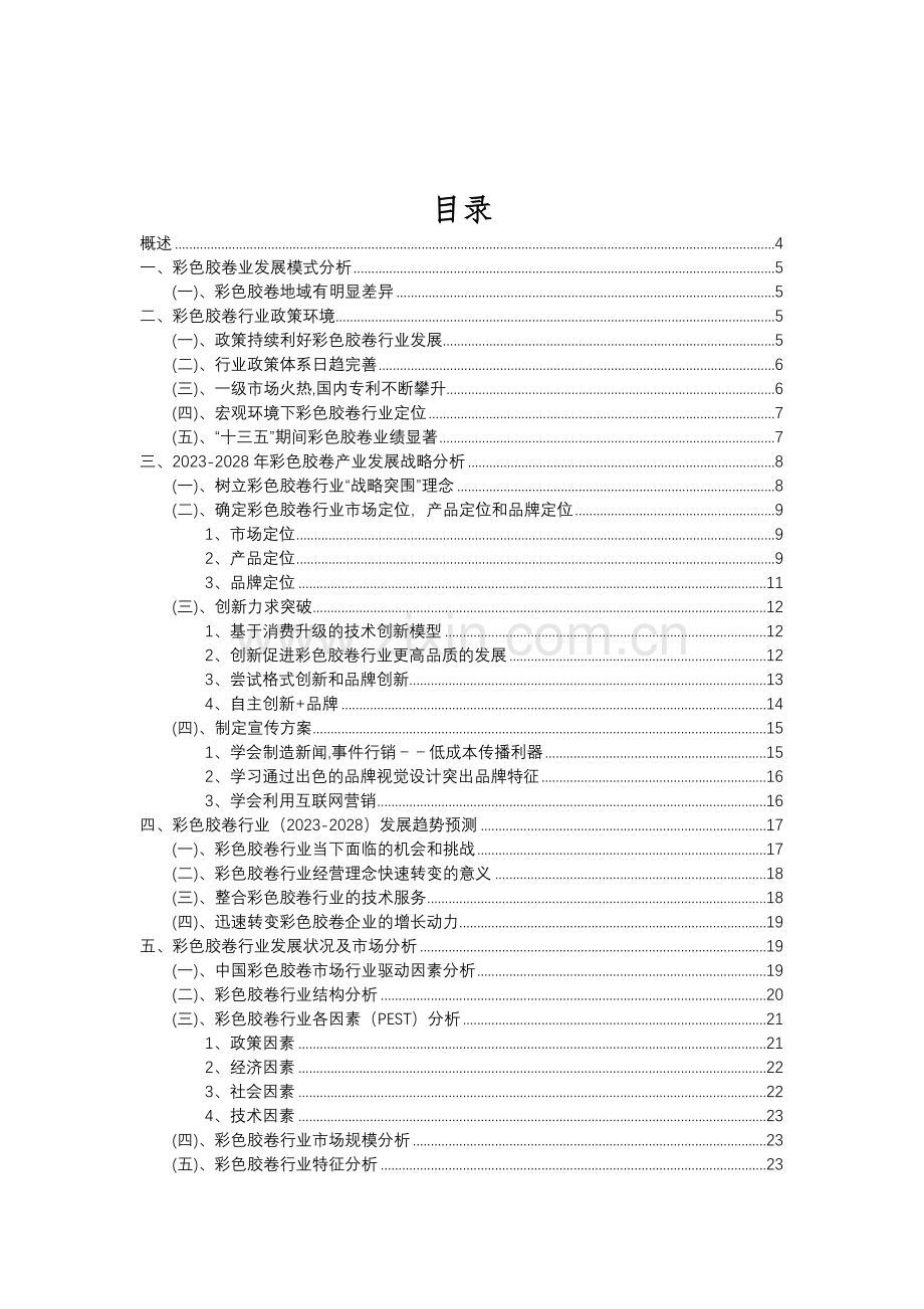 2023年彩色胶卷行业市场突围建议及需求分析报告.doc_第2页