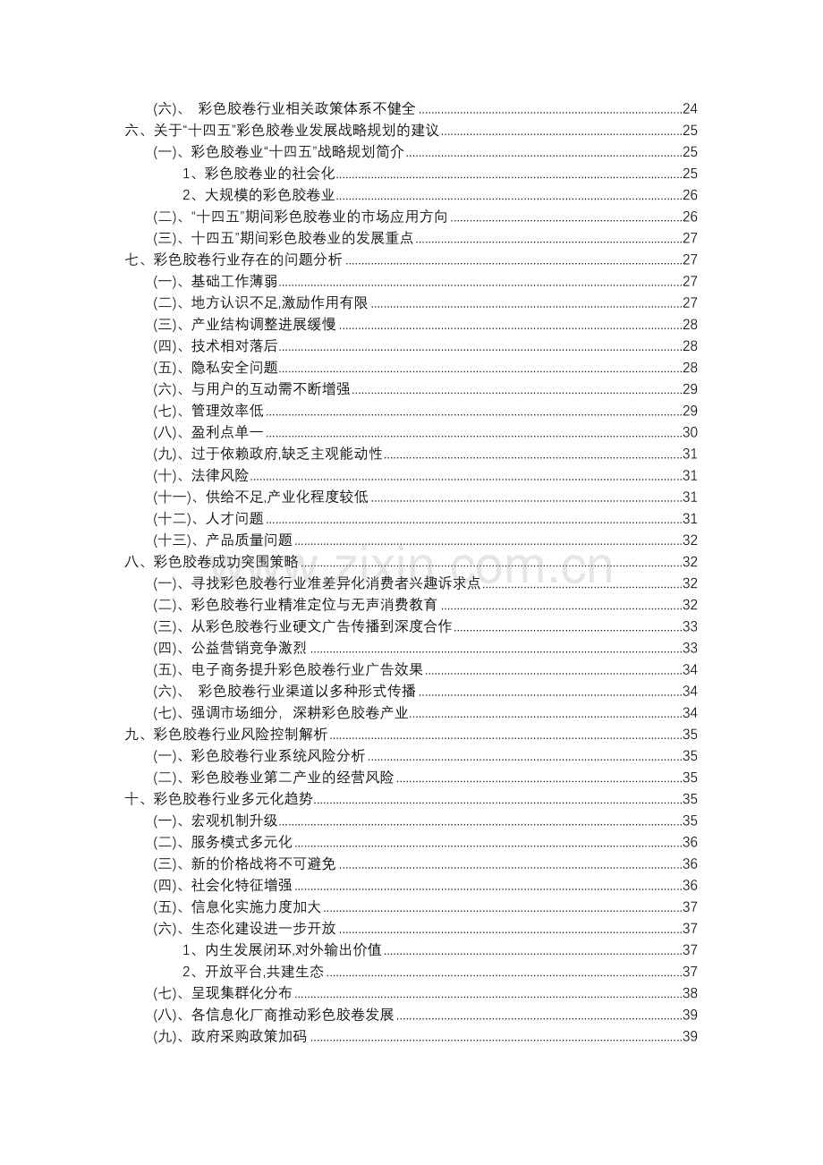 2023年彩色胶卷行业市场突围建议及需求分析报告.doc_第3页