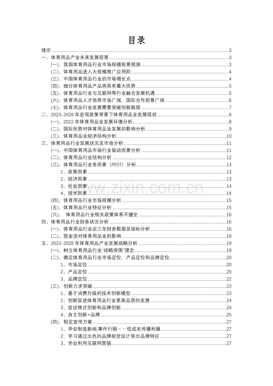 2023年体育用品行业分析报告及未来五至十年行业发展报告.docx_第2页