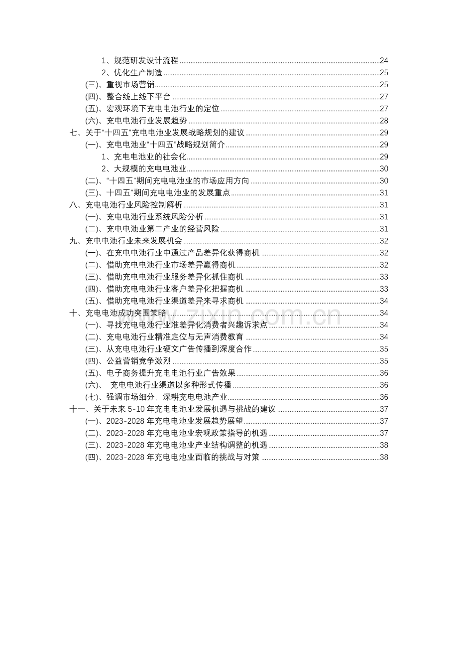 2023年充电电池行业分析报告及未来五至十年行业发展报告.docx_第3页