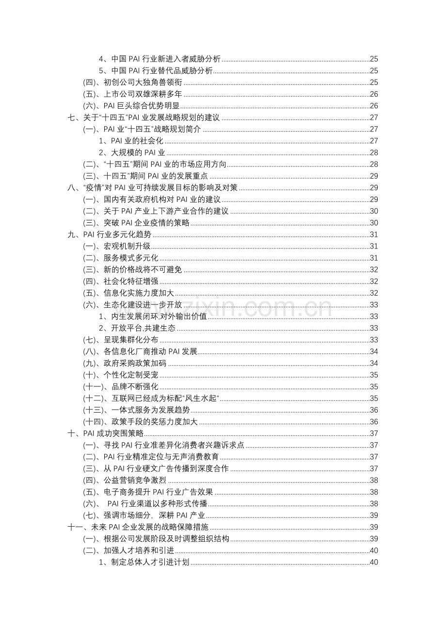 2023年PAI行业分析报告及未来五至十年行业发展报告.docx_第3页