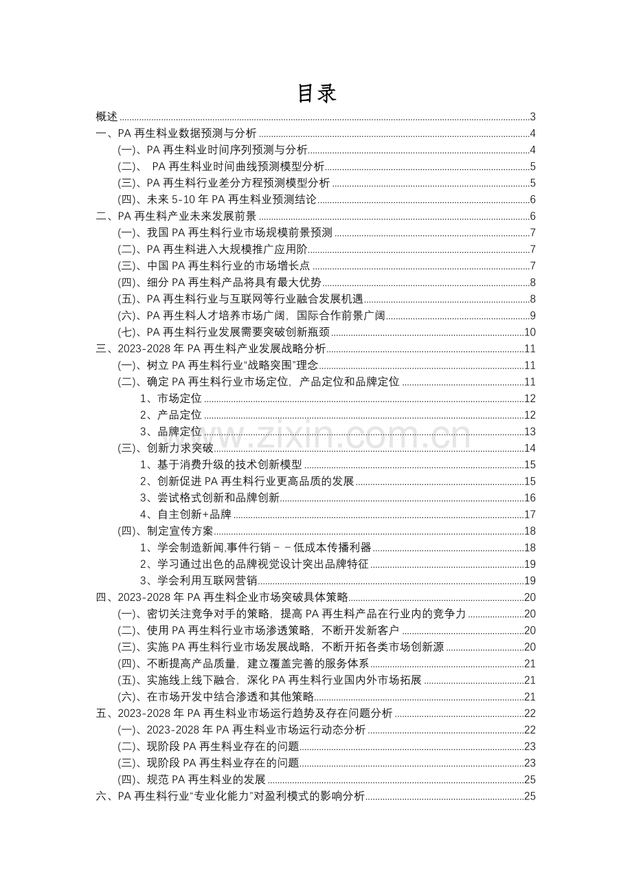 2023年PA再生料行业洞察报告及未来五至十年预测分析报告.docx_第2页