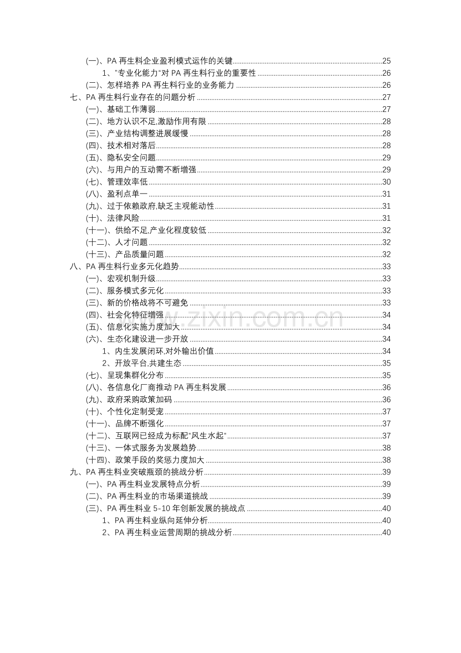 2023年PA再生料行业洞察报告及未来五至十年预测分析报告.docx_第3页