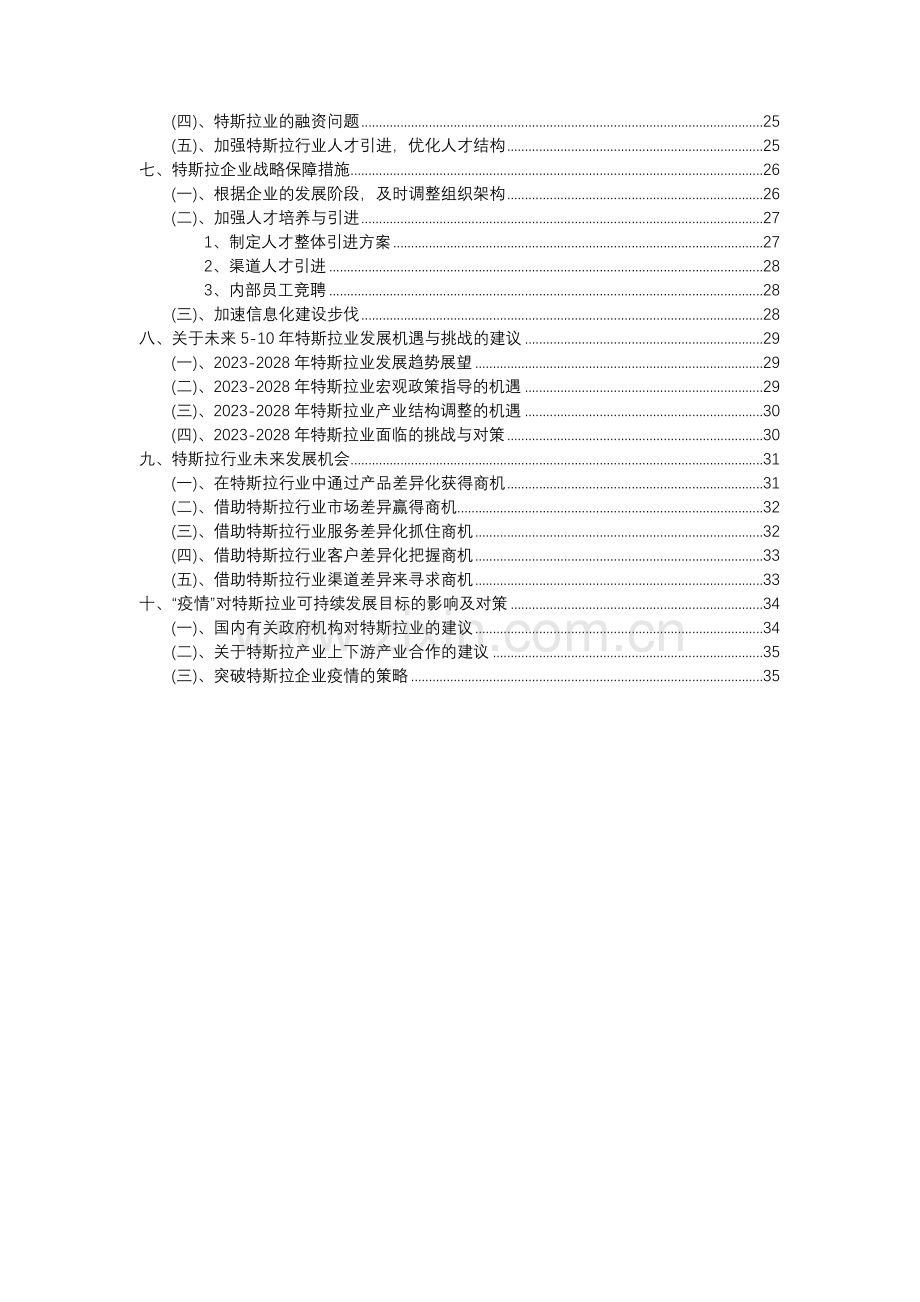 2023年特斯拉行业分析报告及未来五至十年行业发展报告.docx_第3页