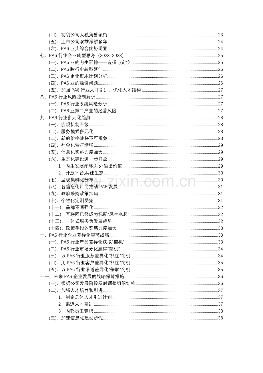 2023年PA6行业分析报告及未来五至十年行业发展报告.docx_第3页