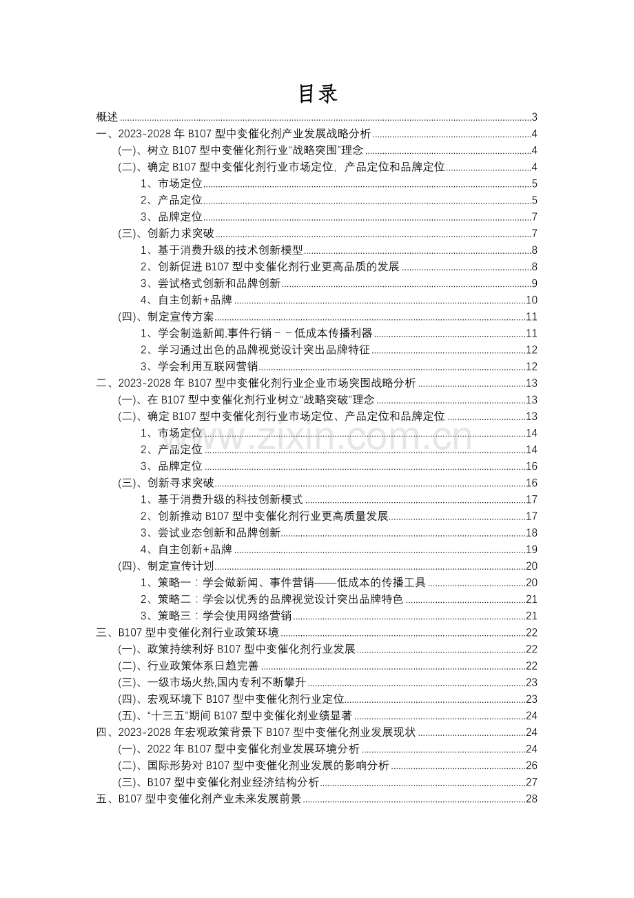 2023年B107型中变催化剂行业洞察报告及未来五至十年预测分析报告.docx_第2页