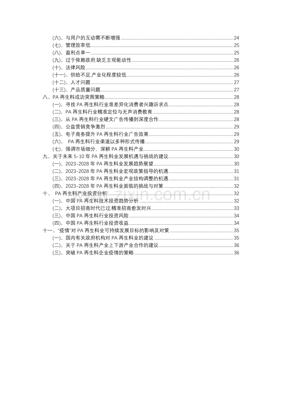 2023年PA再生料行业分析报告及未来五至十年行业发展报告.docx_第3页