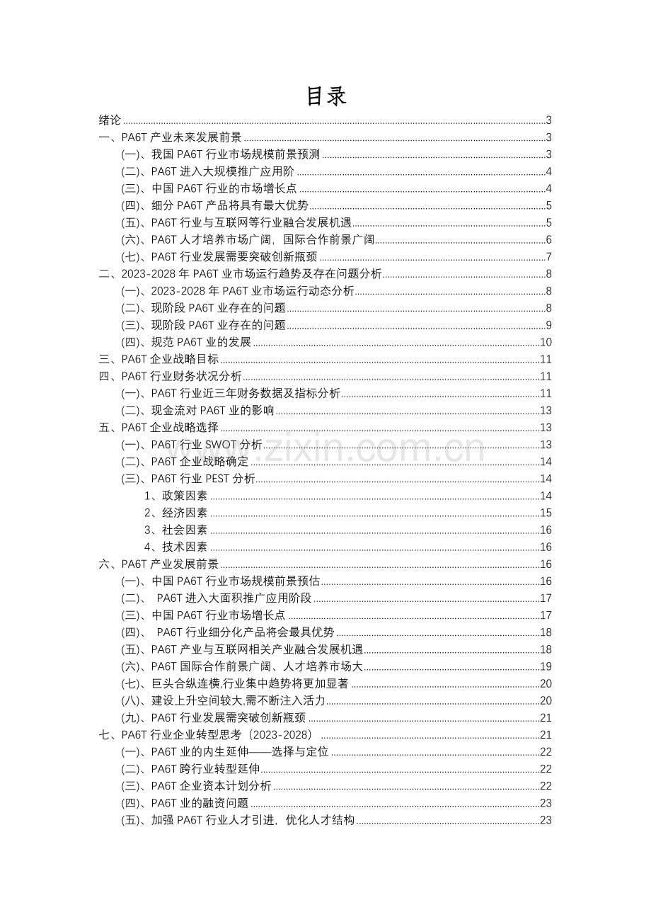 2023年PA6T行业市场突围建议及需求分析报告.docx_第2页