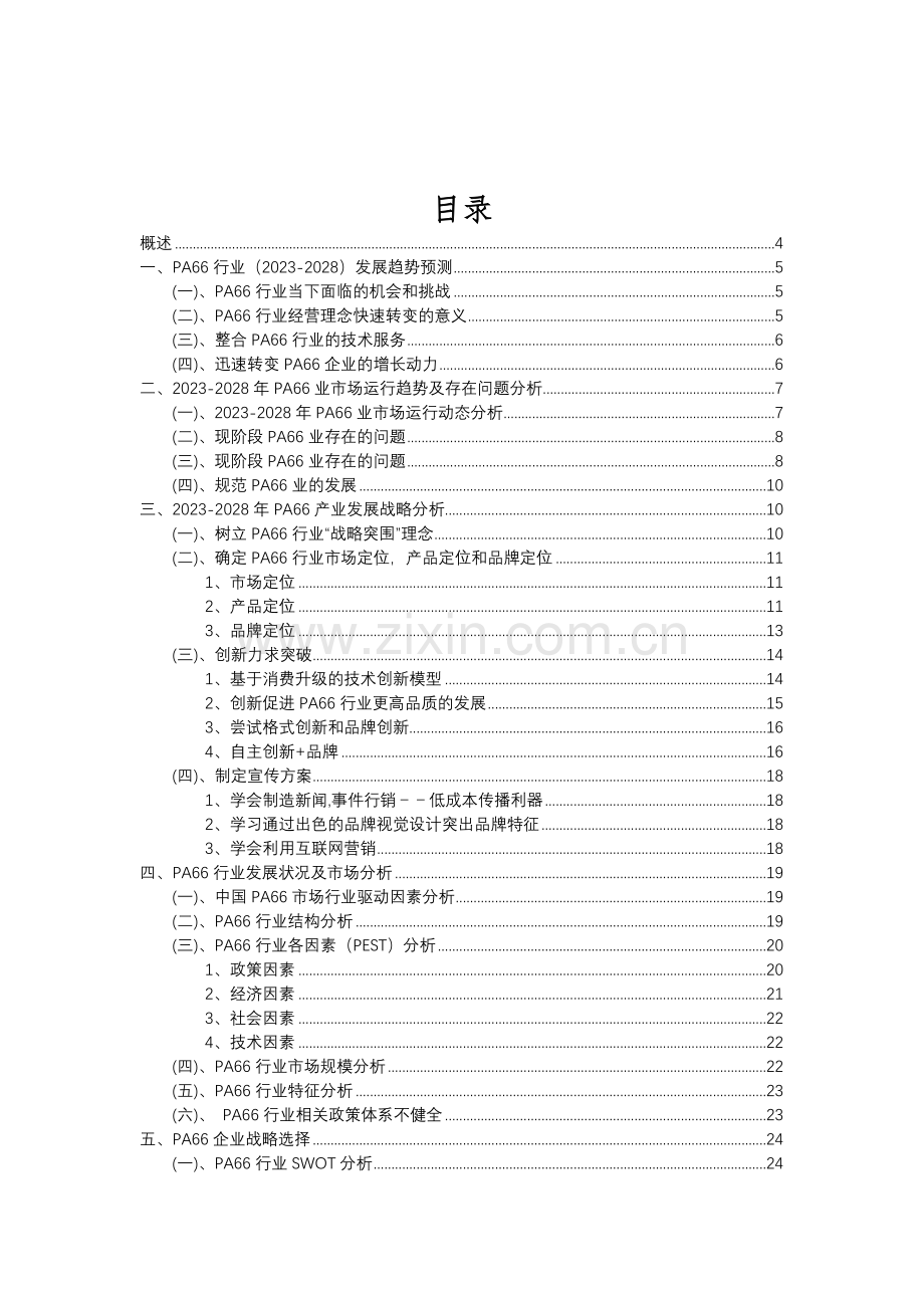 2023年PA66行业市场突围建议及需求分析报告.doc_第2页