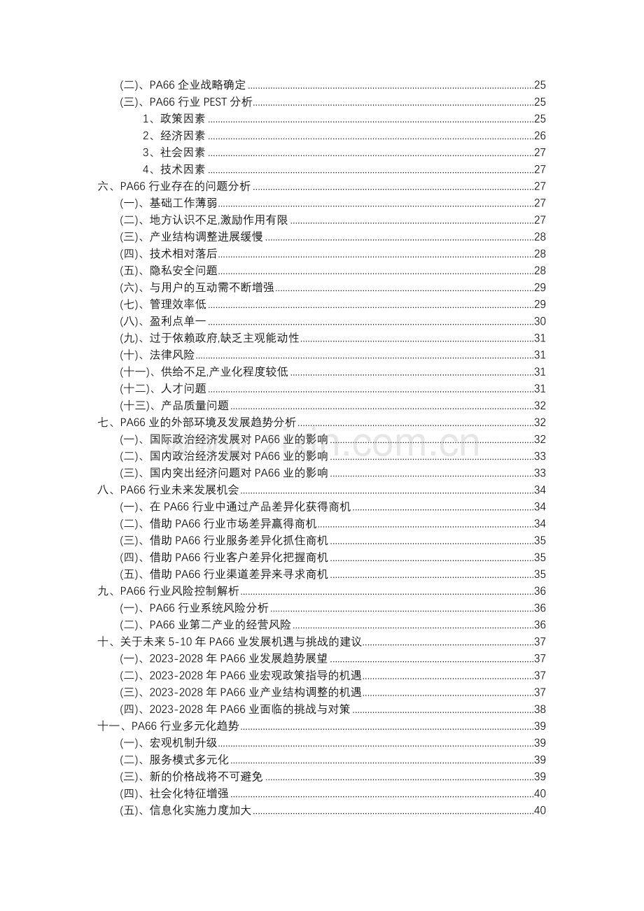 2023年PA66行业市场突围建议及需求分析报告.doc_第3页