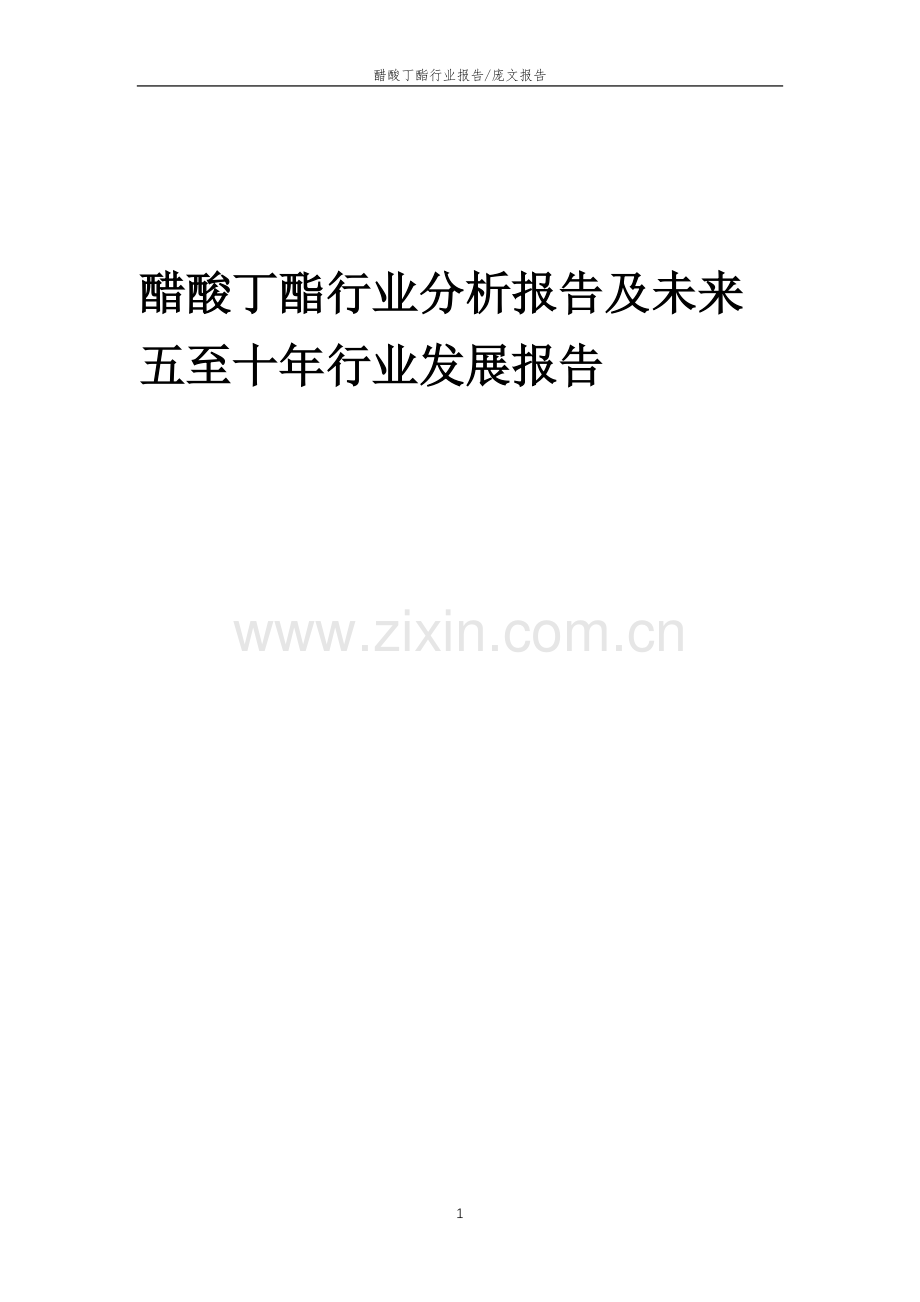 2023年醋酸丁酯行业分析报告及未来五至十年行业发展报告.docx_第1页