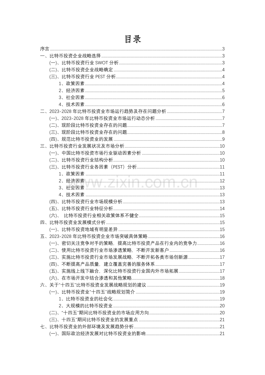 2023年比特币投资行业分析报告及未来五至十年行业发展报告.docx_第2页