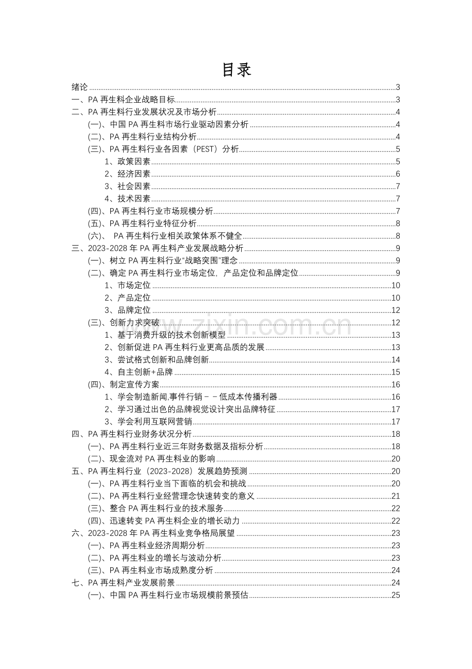 2023年PA再生料行业市场突围建议及需求分析报告.docx_第2页