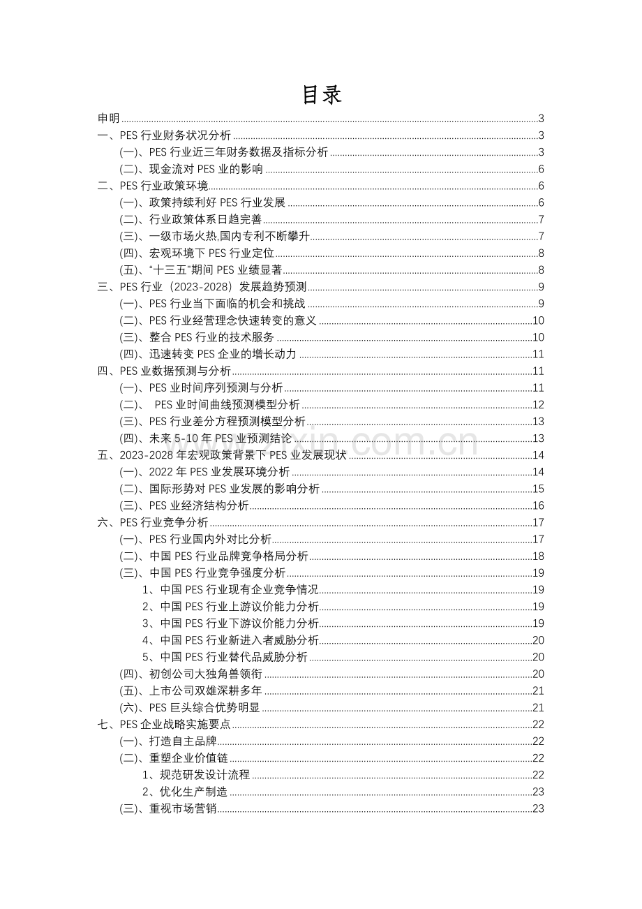 2023年PES行业市场突围建议及需求分析报告.docx_第2页