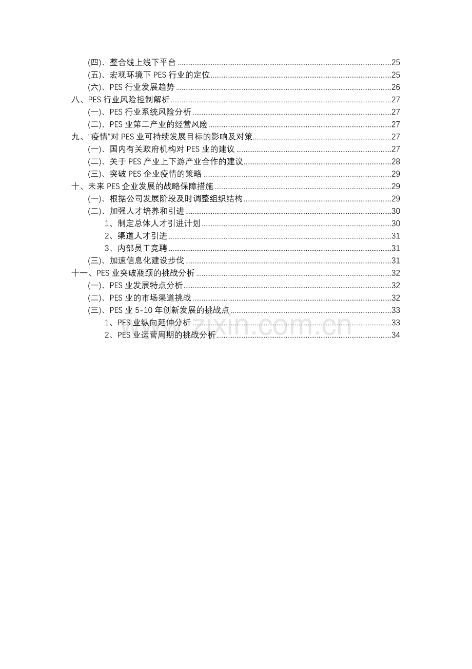 2023年PES行业市场突围建议及需求分析报告.docx_第3页