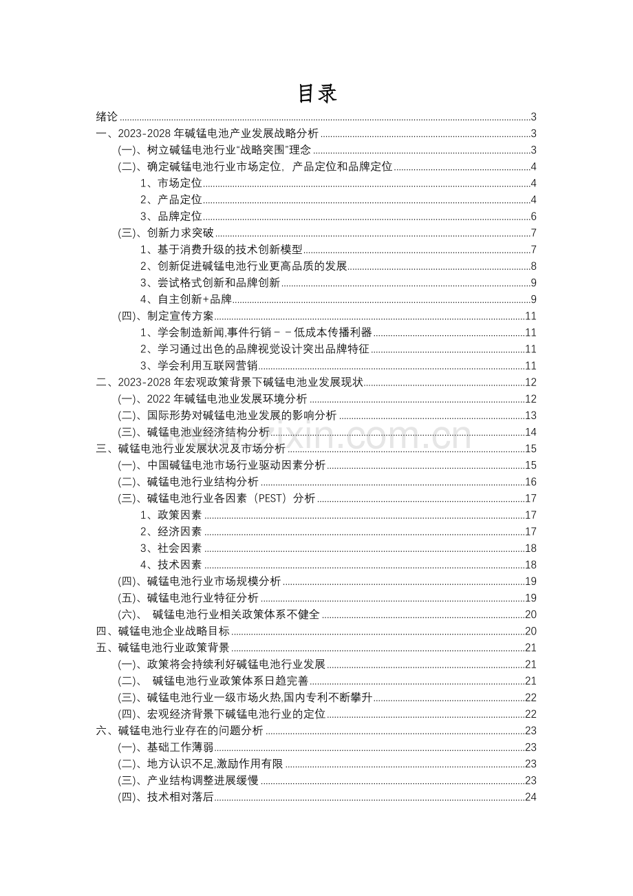 2023年碱锰电池行业分析报告及未来五至十年行业发展报告.docx_第2页