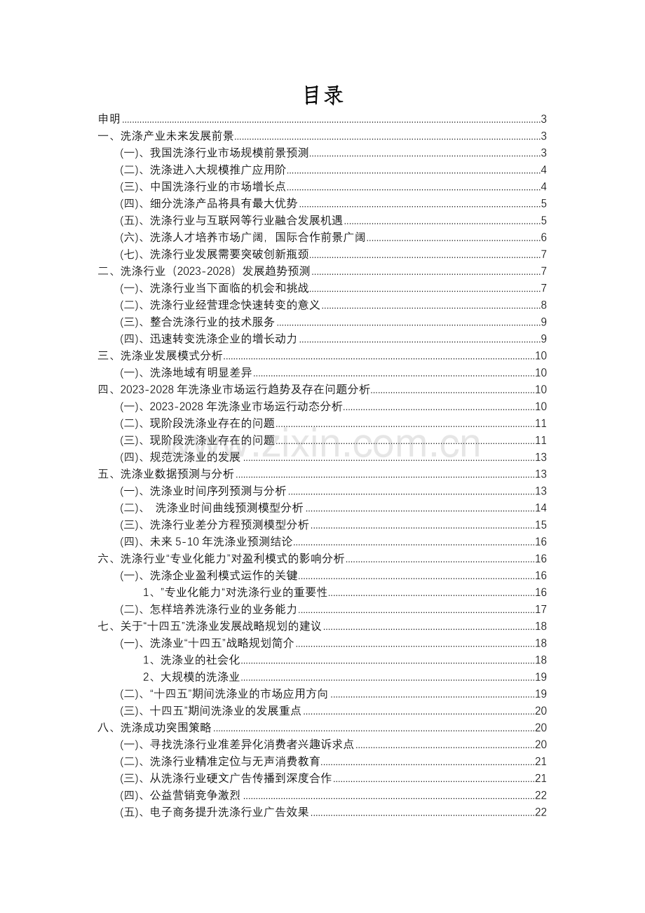 2023年洗涤行业分析报告及未来五至十年行业发展报告.docx_第2页