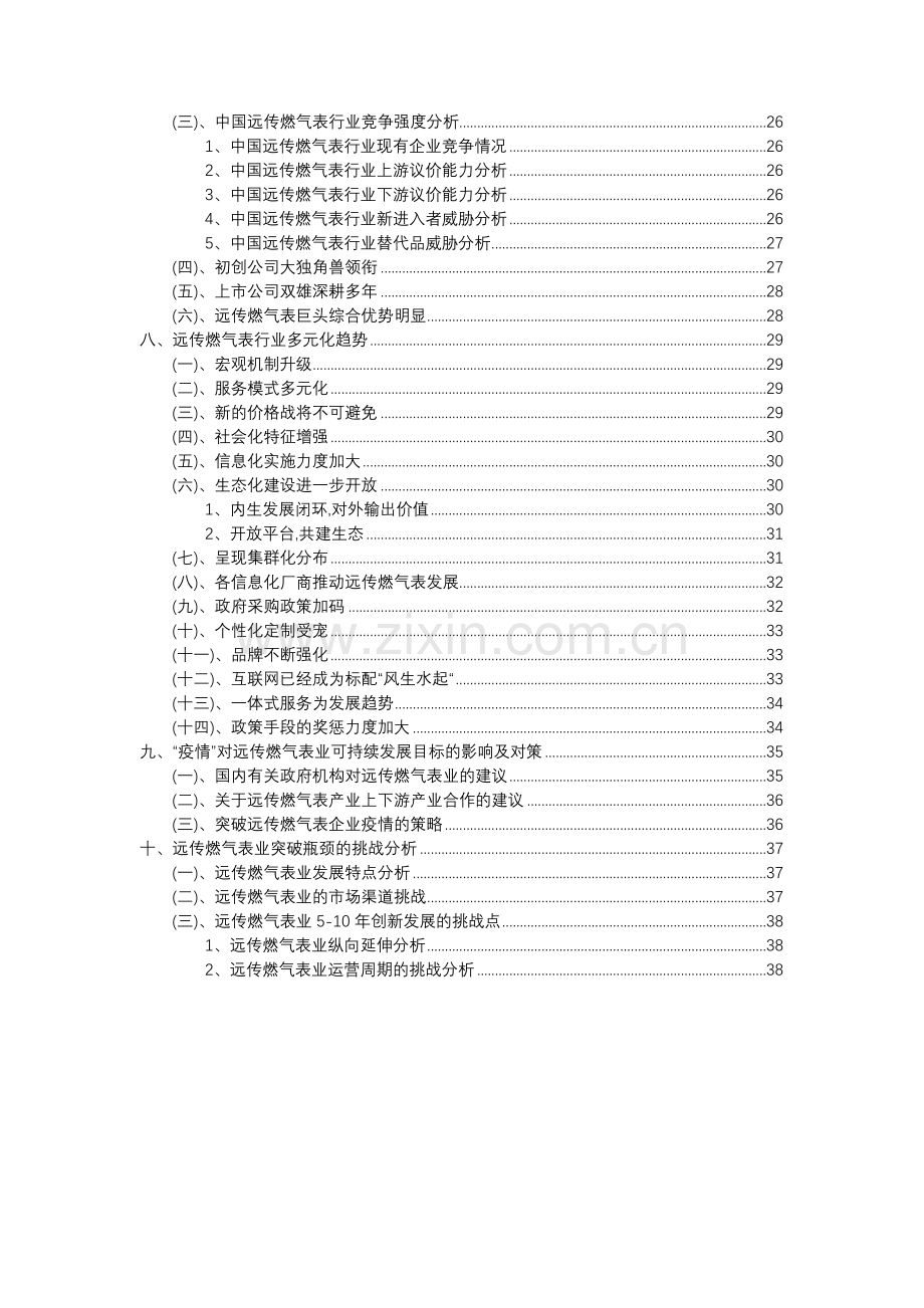 2023年远传燃气表行业分析报告及未来五至十年行业发展报告.docx_第3页