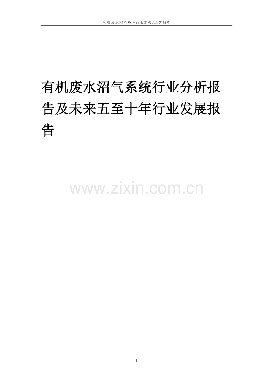 2023年有机废水沼气系统行业分析报告及未来五至十年行业发展报告.doc_第1页